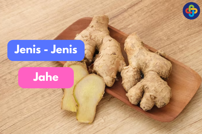 Rempah-Rempah: Menjelajahi Jenis-Jenis Jahe di Dapur Anda